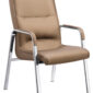 Meeting chair